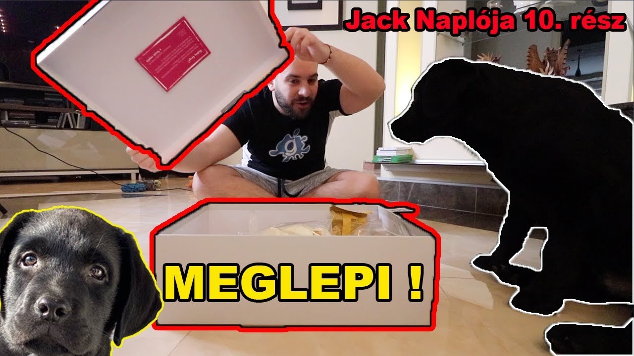JACK MEGLEPETÉSLÁDÁJA ! 🎁 | JACK NAPLÓJA 10. rész !