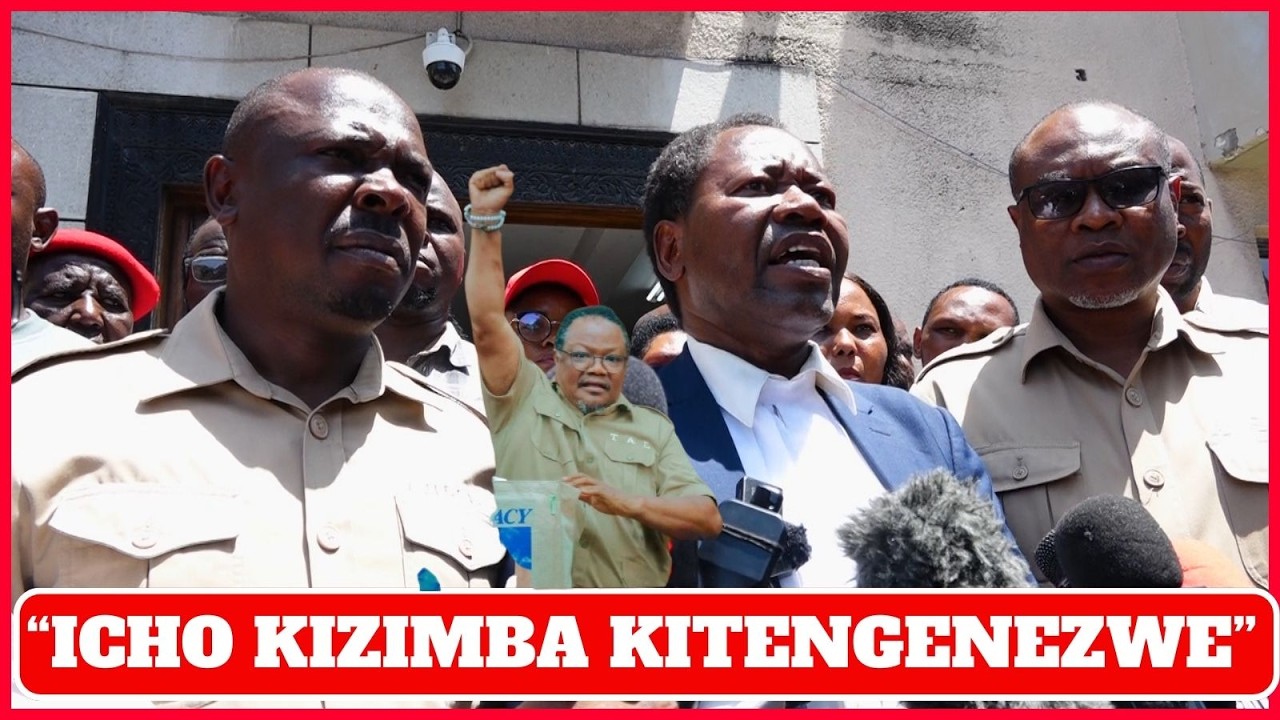 KILICHOENDELEA MAHAKAMANI LEO MAWAKILI WA LISSU WAZUNGUMZA KWA UNDANI...