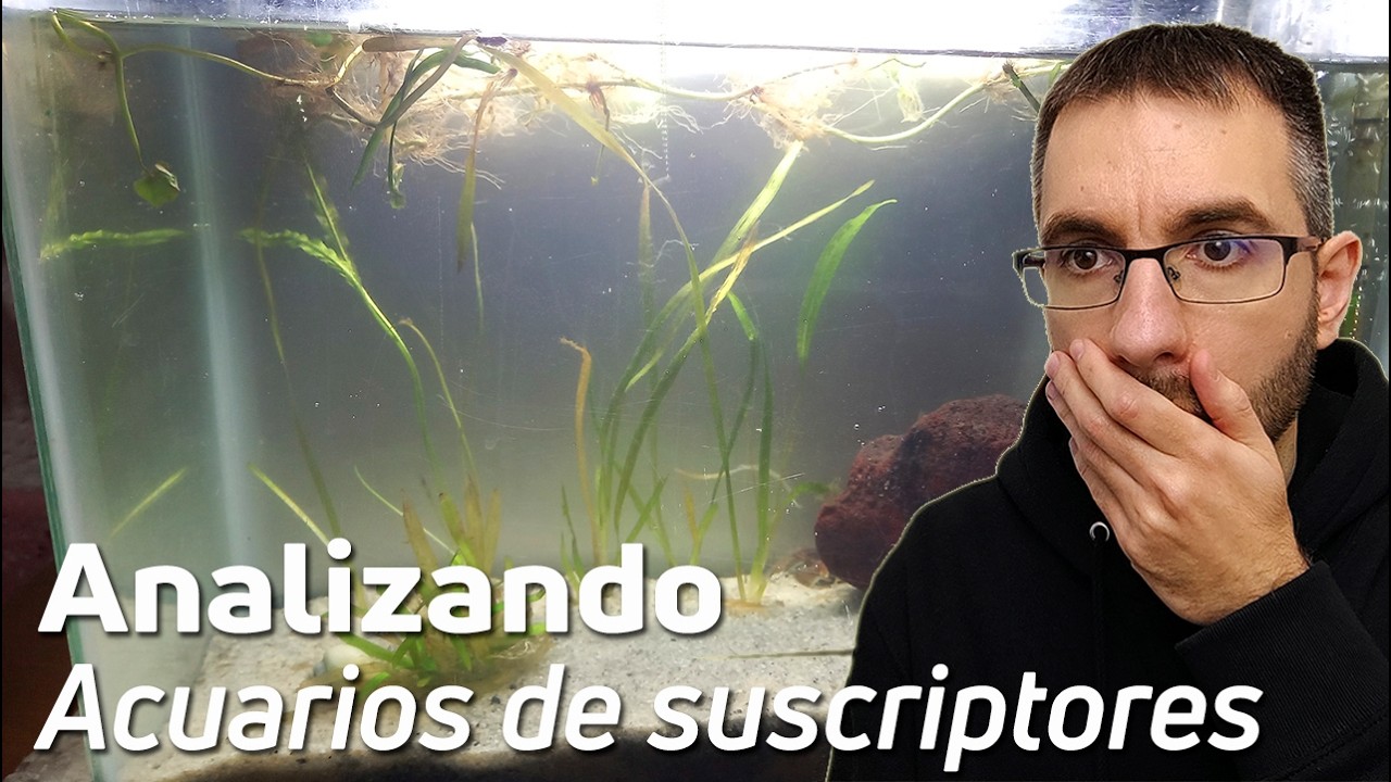 🕵️ Acuarios de Suscriptores Nº59: ¿Problemas en tu Acuario? Aprende de Estos Errores