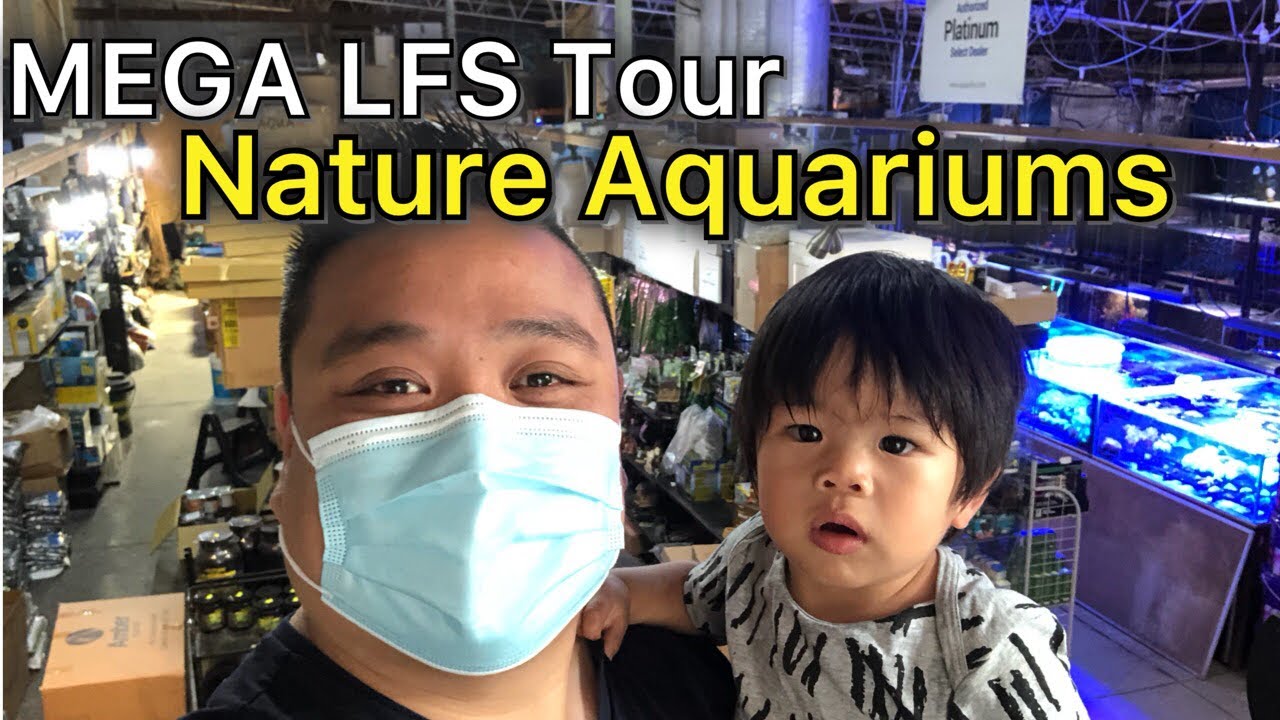 Mega LFS Tour - Nature Aquariums!!