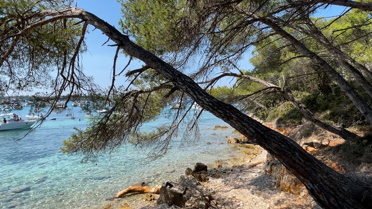 Nature waves sound relaxation & perfect beach view: Escape to the most beautiful beach in France