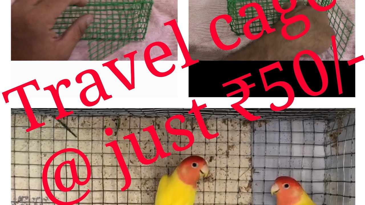 Travel cage making || just @ ₹50/- || African lovebirds || Malayalam