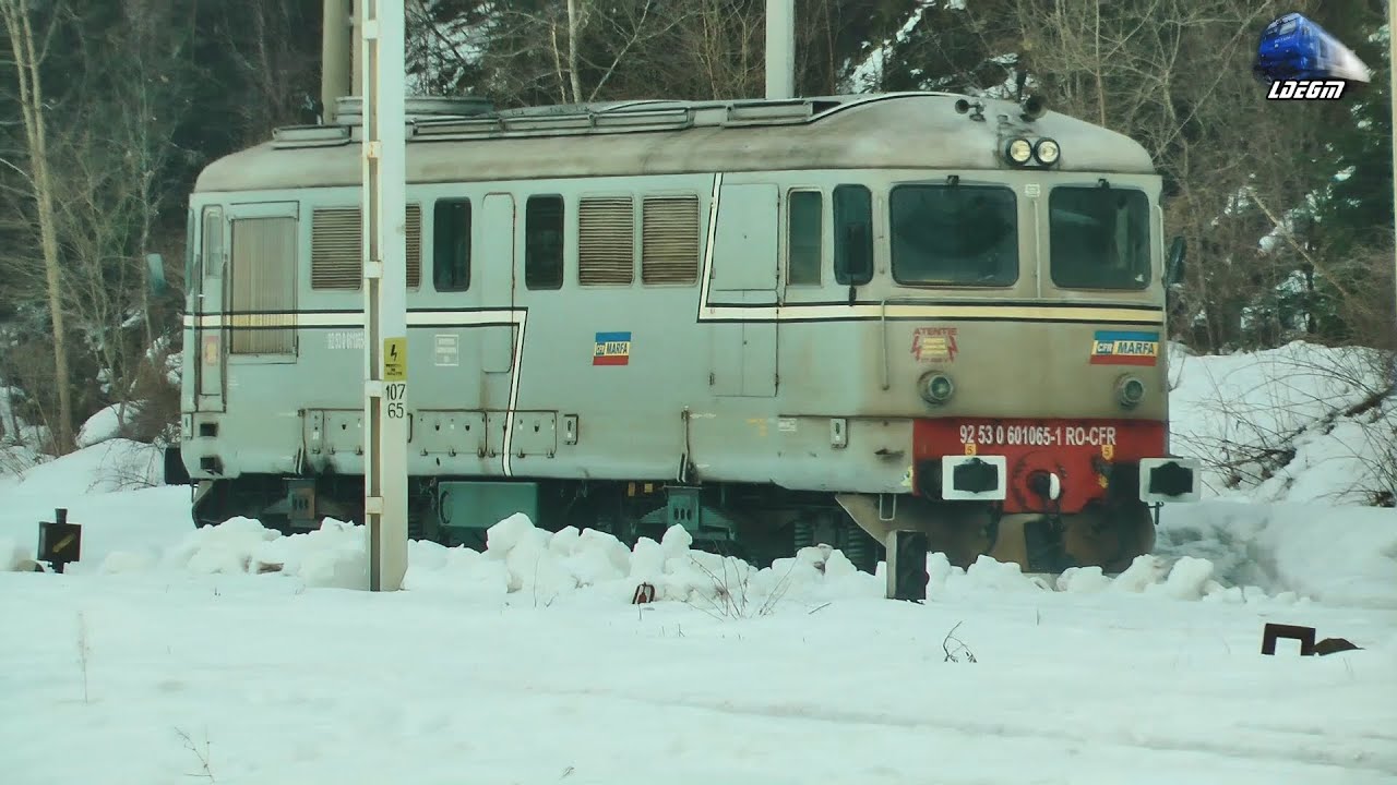 Trenuri & Amintiri Feroviare în Vatra Dornei - 20 Februarie 2019