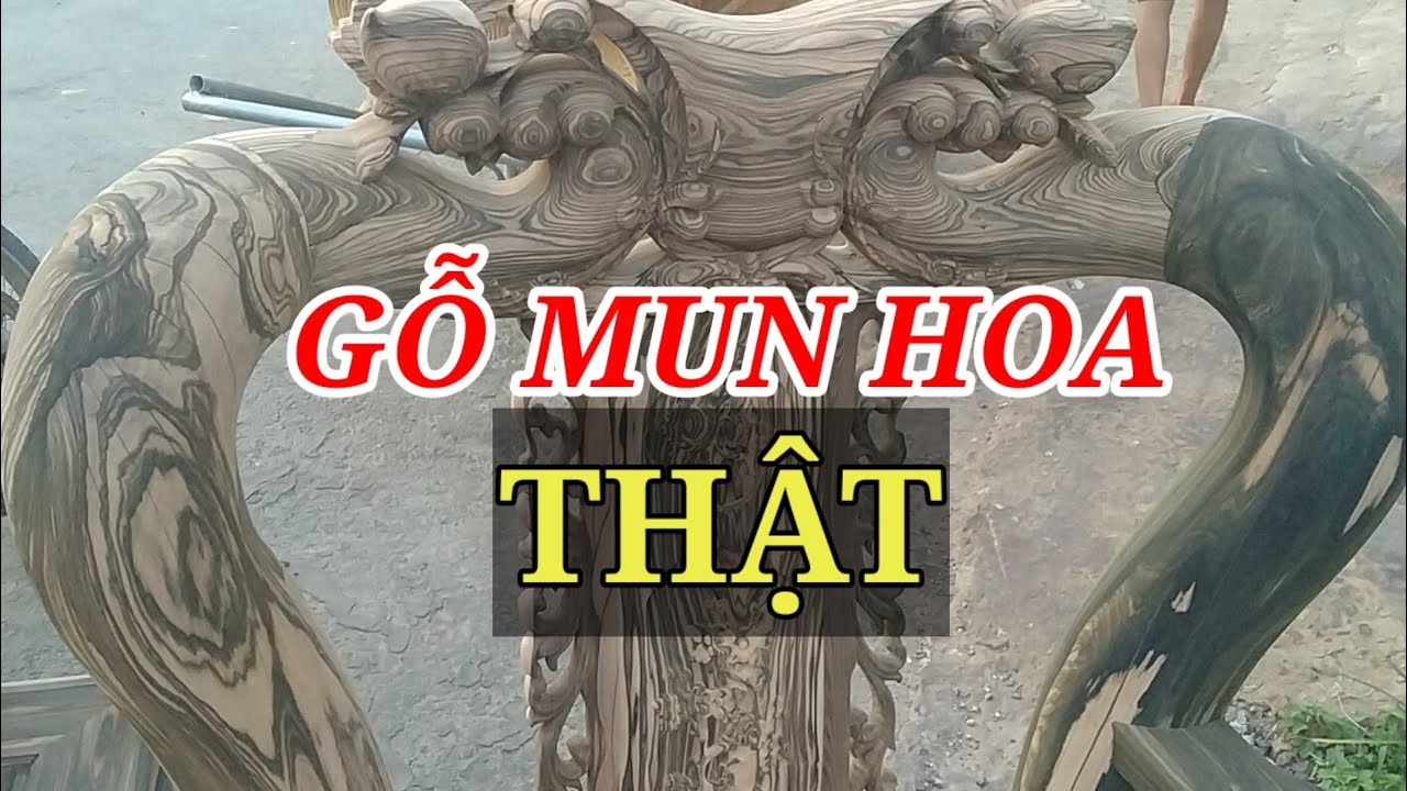 🔴TÌM HIỂU GỖ MUN HOA/ GỖ MUN HOA VÂN THẬT CUỐN HÚT NGƯỜI XEM. ĐỒ GỖ HIỀN LANH. 0986883349