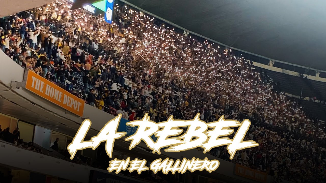 LA REBEL EN EL GALLINERO 2021 (El pase a semifinales)
