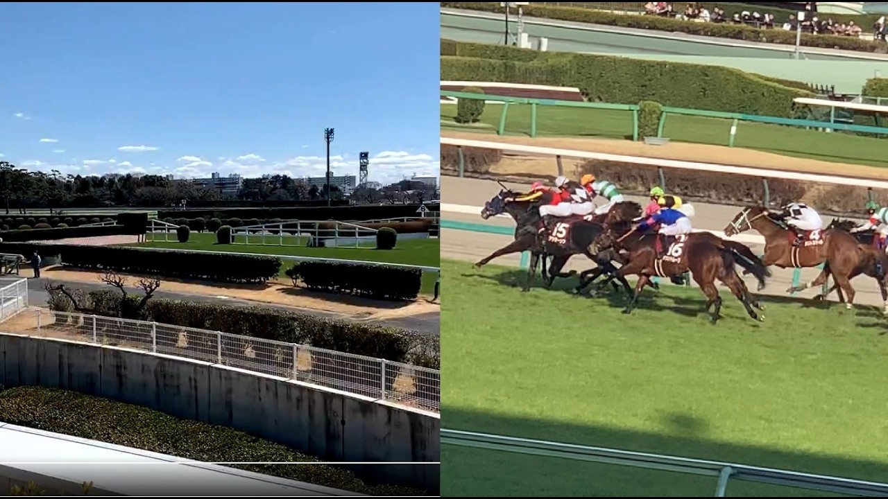 【ダイジェスト版】GⅡ スプリングステークス アウダーシアと内馬場探訪・中山大障害（大竹柵＆大生垣） 5、7、10、11R 2026/03/15 中山競馬場