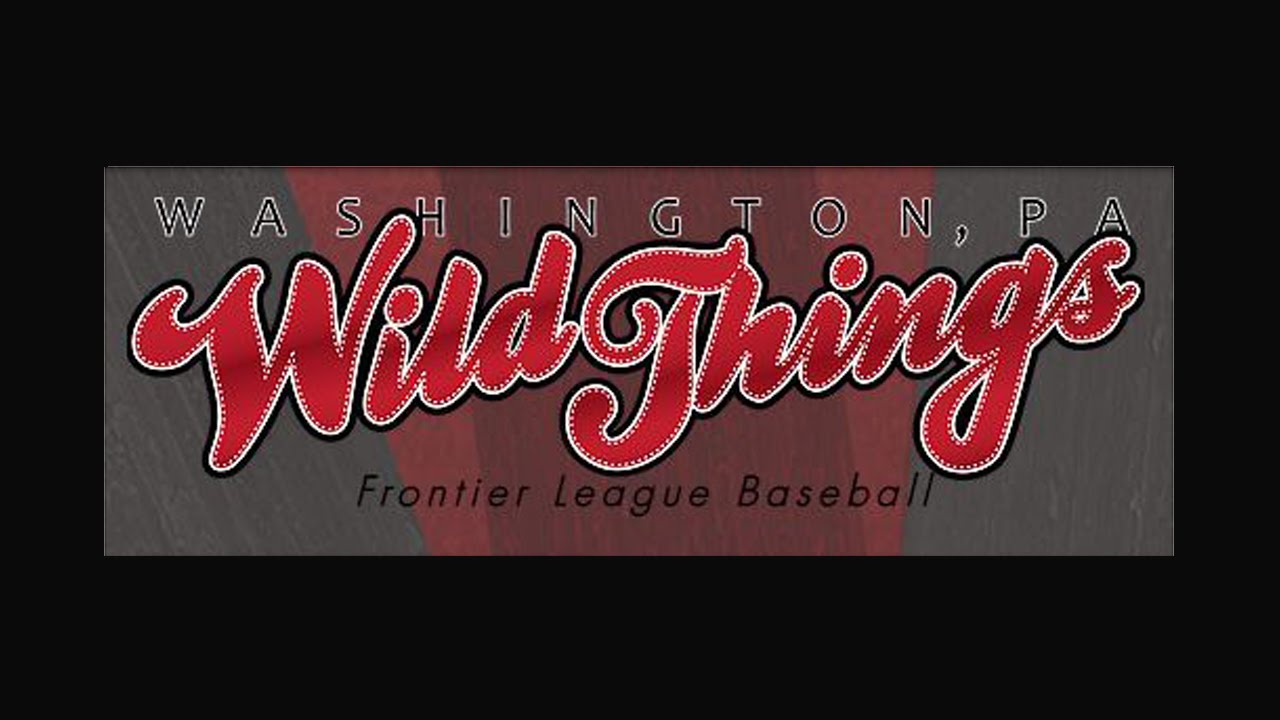 Washington Wild Things  vs. Joliet Slammers  6-15-16