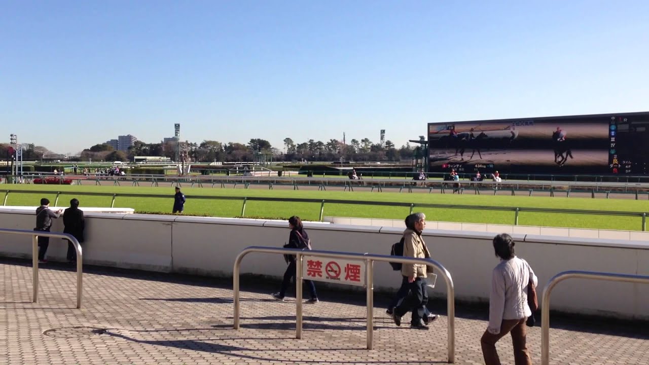 2015年12/5中山競馬1R本馬場入場(the majestic march)
