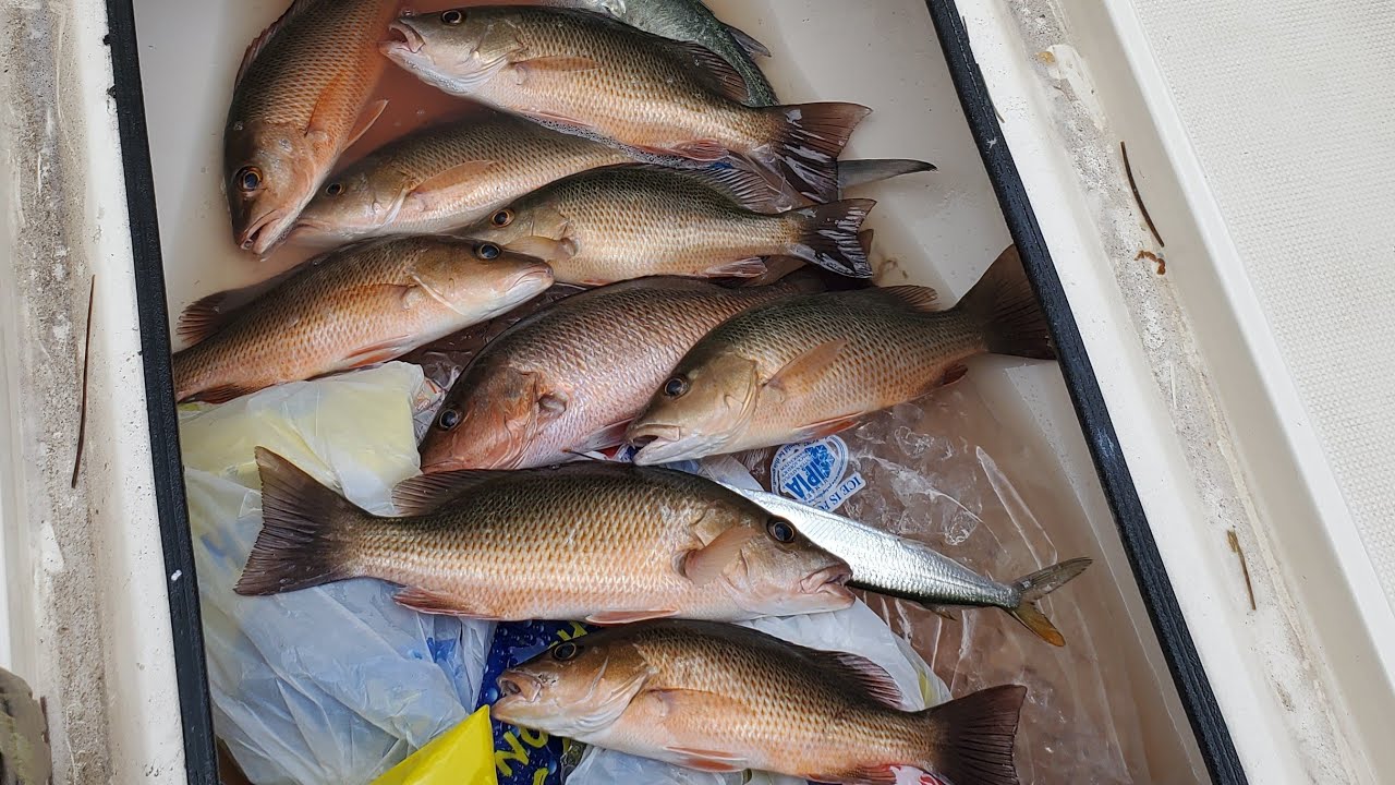 Shallow Water Snapper Fishing In The Florida Keys