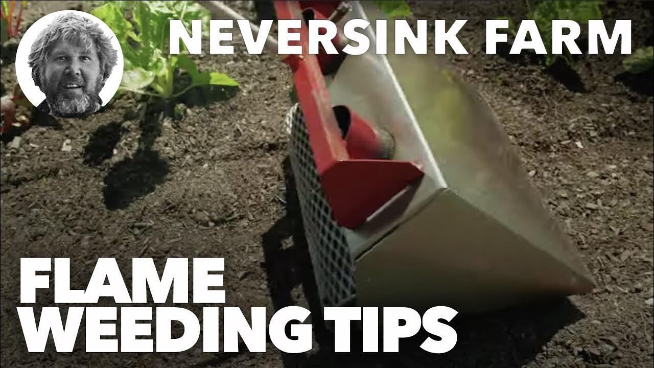 Flame Weeding Tips
