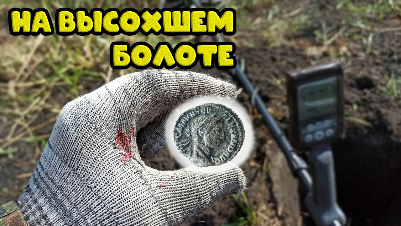 Коп с батей на высохшем болоте,денарии прут