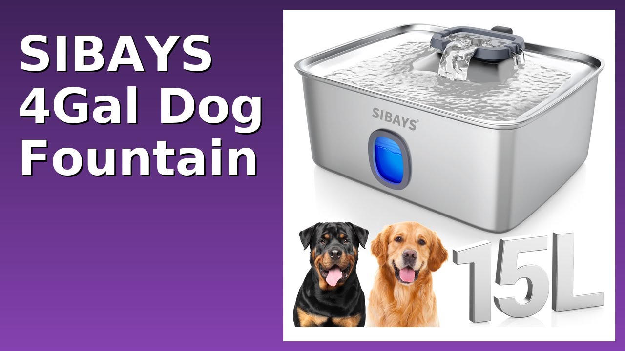 REVIEW (2026): SIBAYS 4Gal Dog Fountain. ESSENTIAL details.