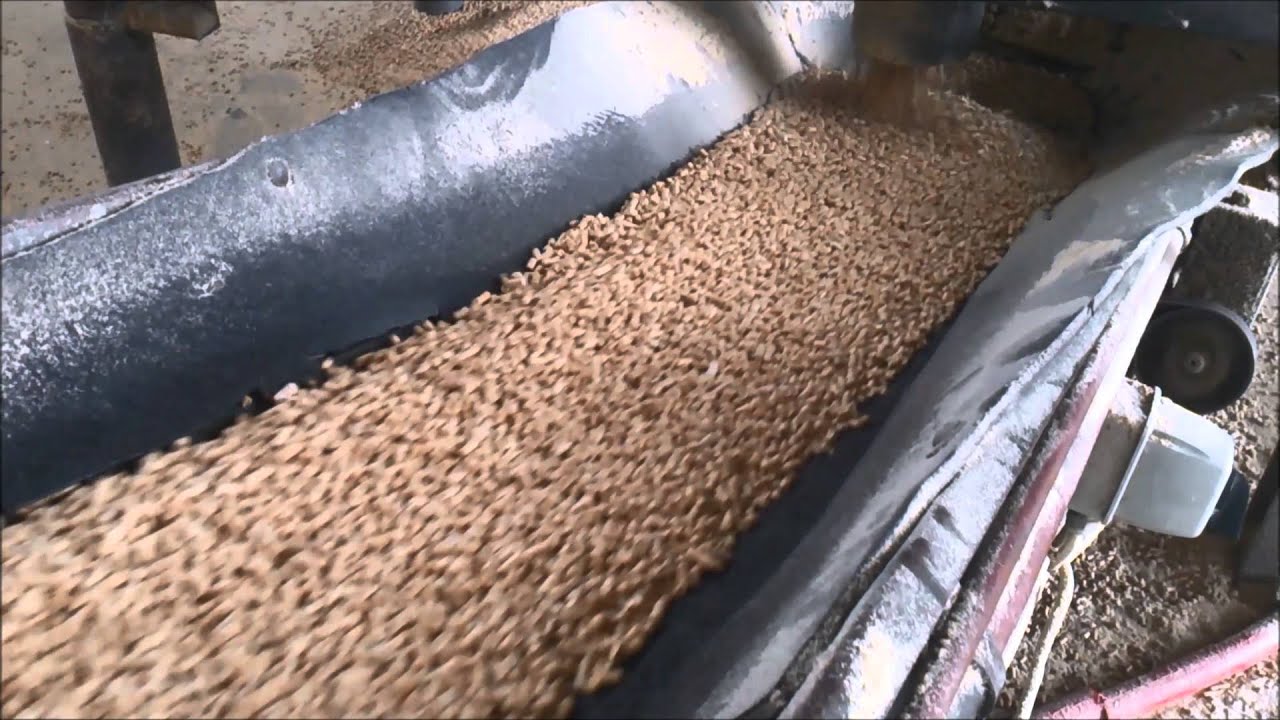 Pellet line for sale 2 t/h