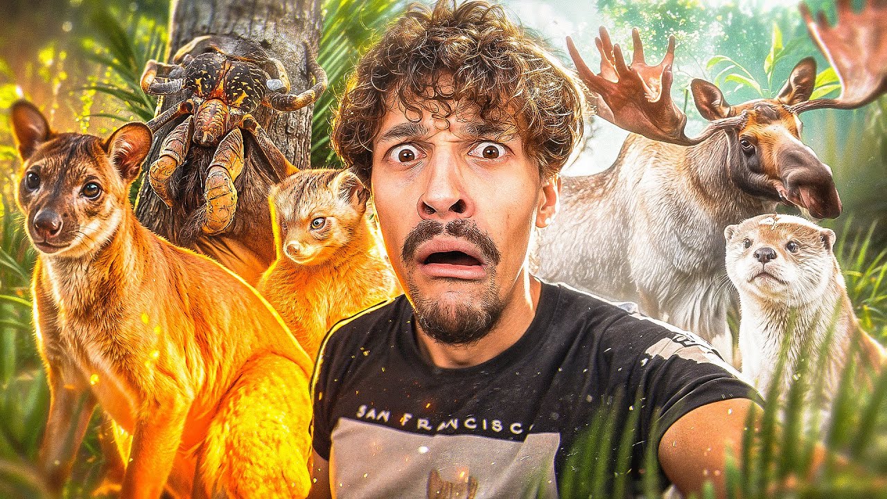 TU NE REGARDERAS PLUS CES ANIMAUX DE LA MÊME FAÇON 😱⚠️