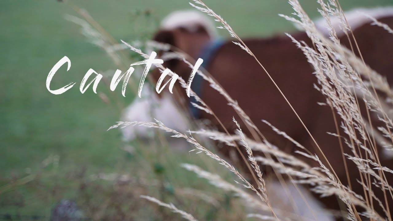 Cantal en famille