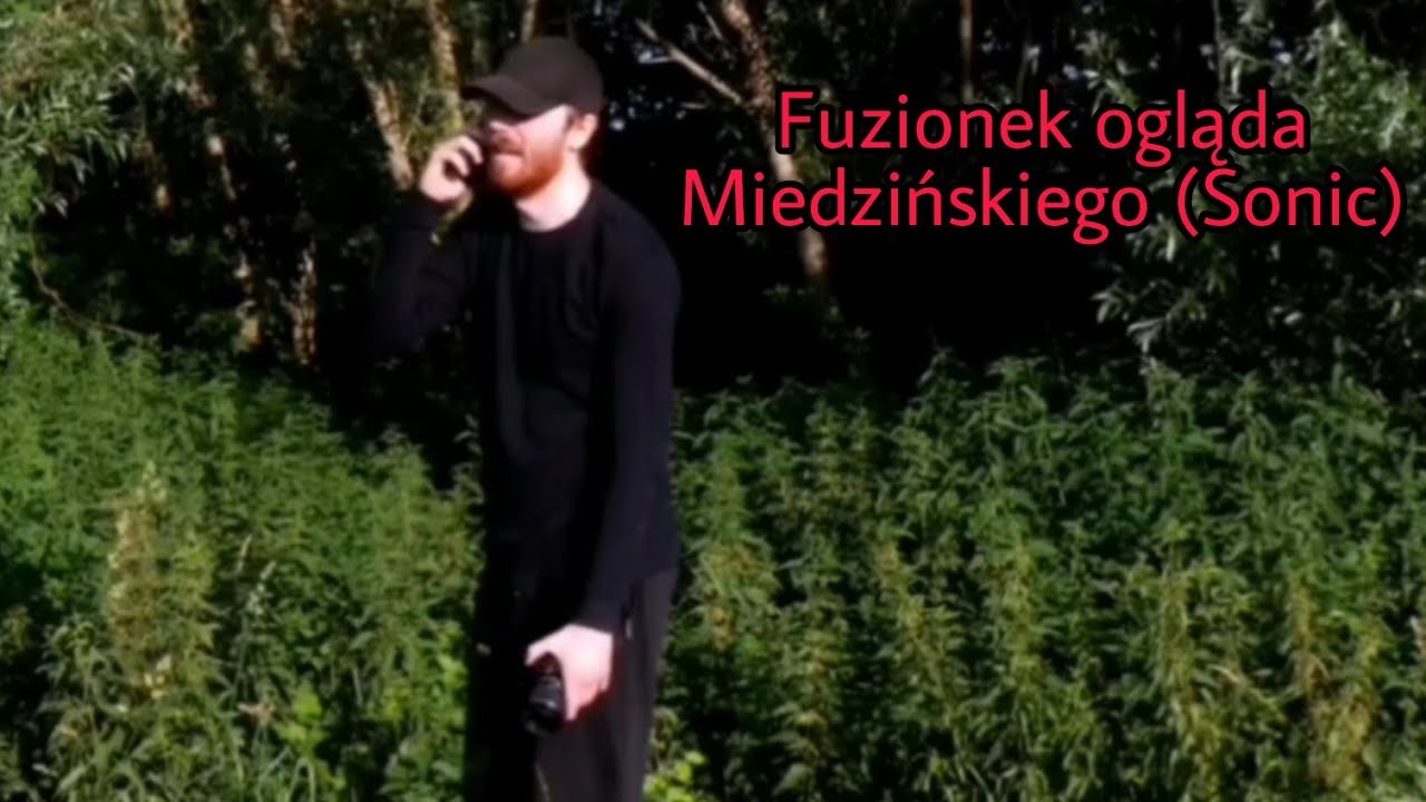 Fuzionek ogląda Miedzińskiego (Sonic)