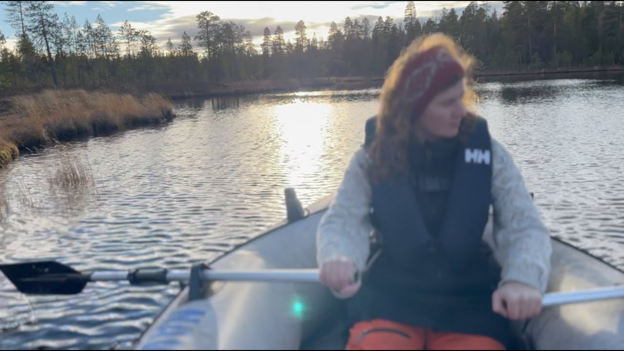 🍁 Ruska in Lapland update | surviving and thriving