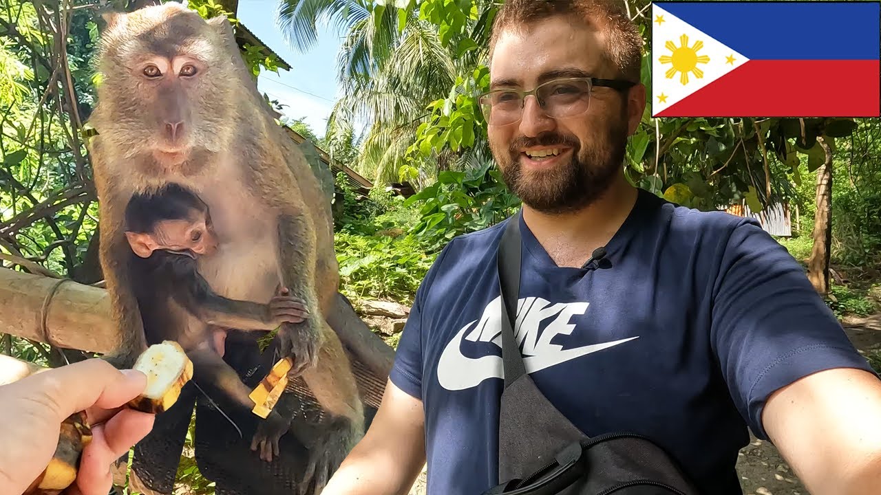 Oslob Monkey Sanctuary Philippines 🇵🇭