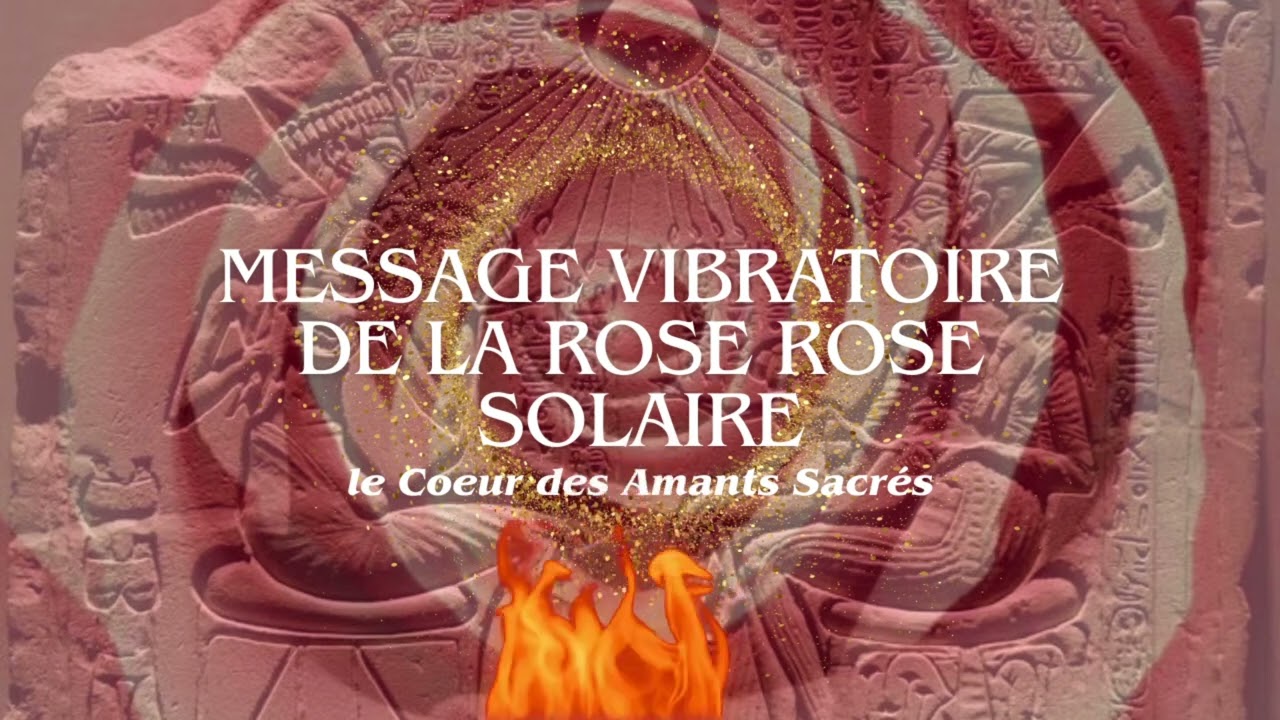 Message de la Rose Rose - Lignée de la Rose