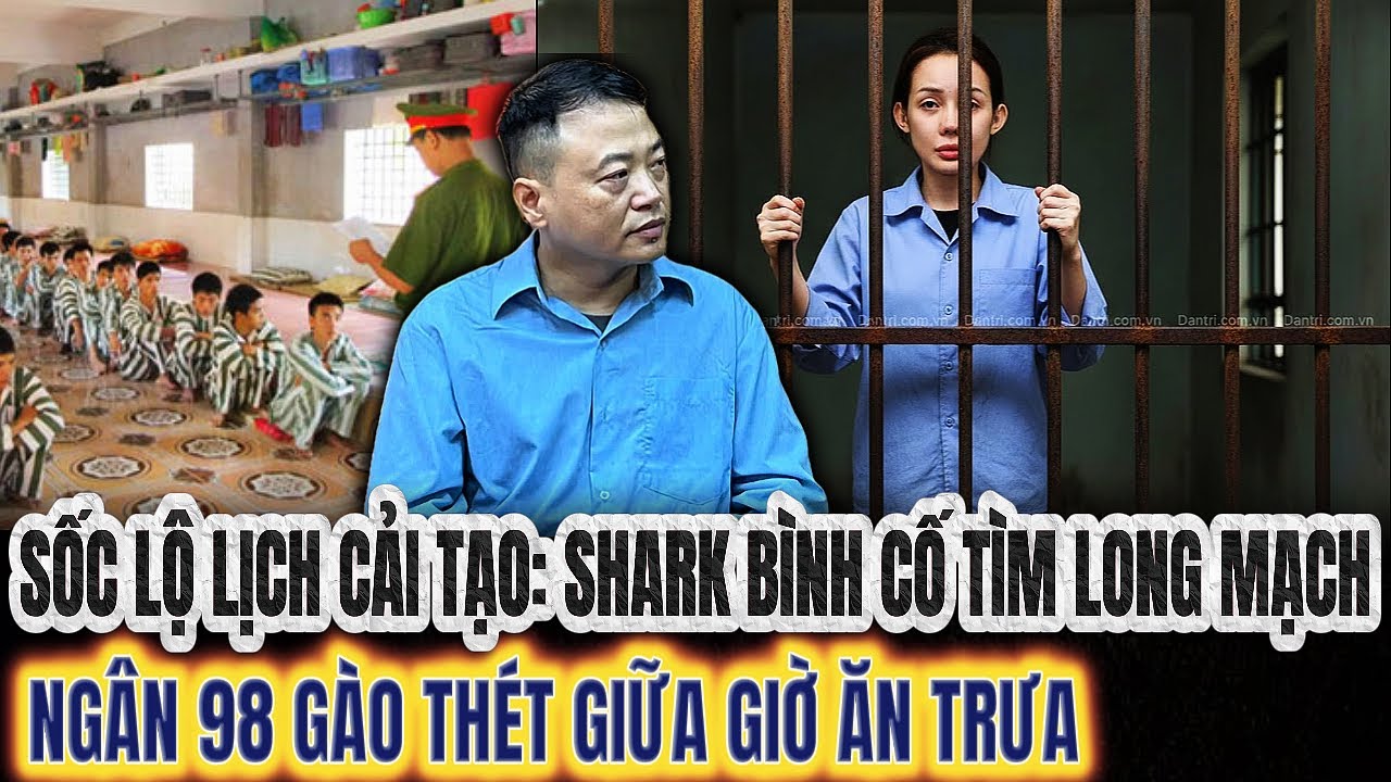 Sốc Lộ Lịch Cải Tạo: Shark Bình Cố Tìm Long Mạch, Ngân 98 Gào Thét Giữa Giờ Ăn Trưa