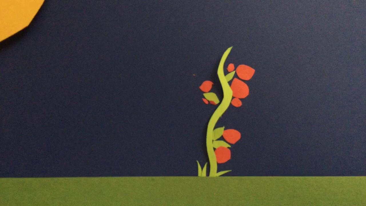 Heaven's Harvest Tomato Seed Giveaway!