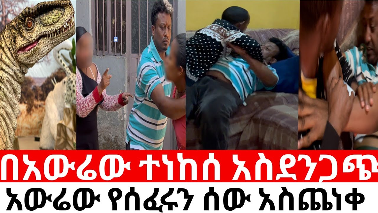 በአውሬው ተነከሰ አስደንጋጭ ነገር ገጠመን  የሰፈሩን ሰው አውሬው በጠበጣቸው| ነበልባል neblbale @neblbale 