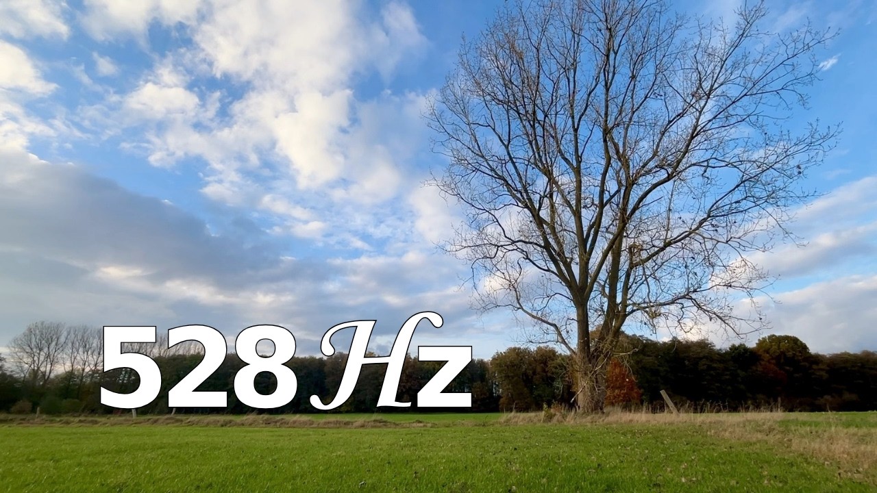 528 Hz Music 10 Min | Binaural 10 Hz | Nature Ambient