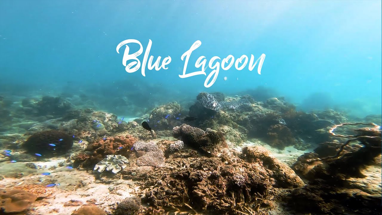 Cleaning Plastic Trash | Blue Lagoon & Labuhan Amuk | Bali Freedive