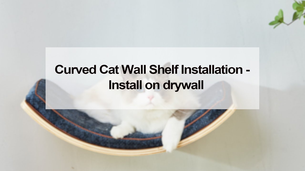 Curved Cat Wall Shelf Installation   Install on drywall