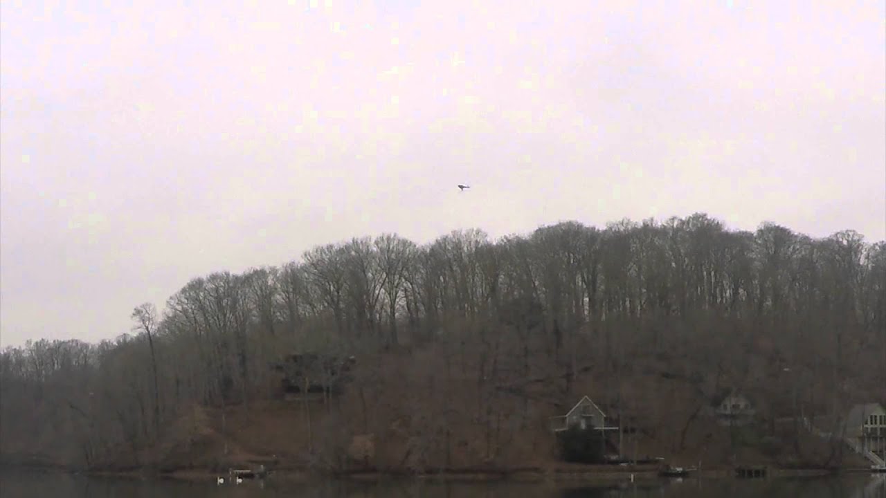 Blade 300cfx frist inverted circle
