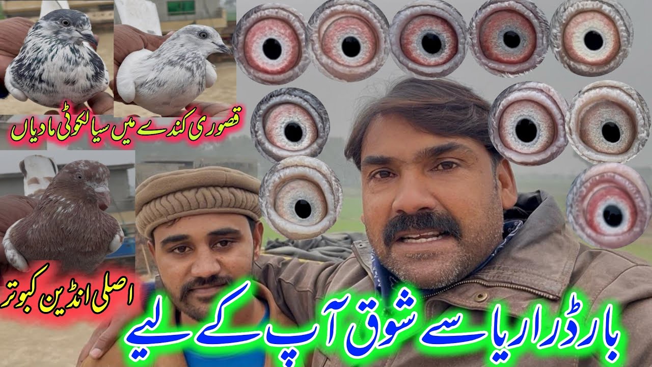 Border Area Say Shok Ap k LiyA👍|| Ustad ch kamran 