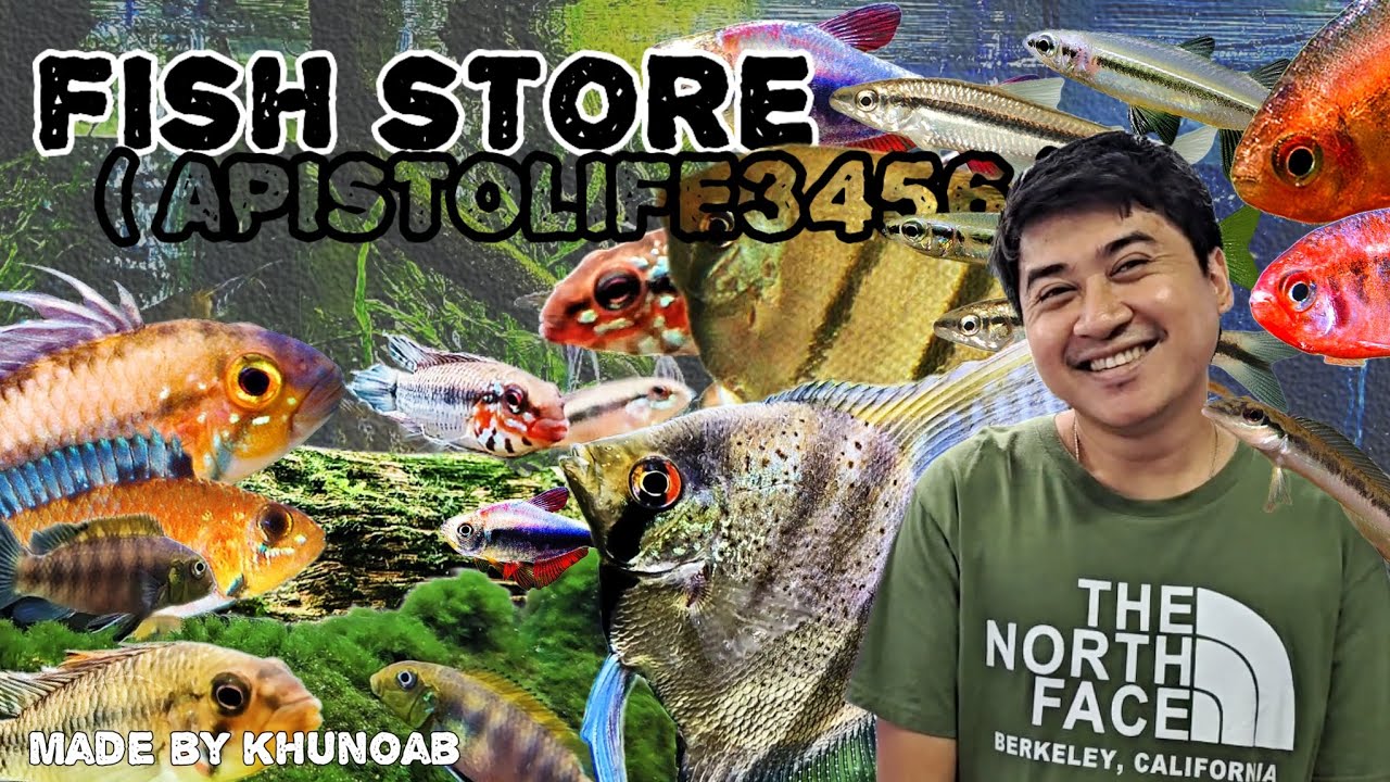 Let's check out some amazing Imported fish !! | ปลาใหม่ ๆ น่าสนใจเพี๊ยบบบ !! | ApistoLife 3456 ❤️