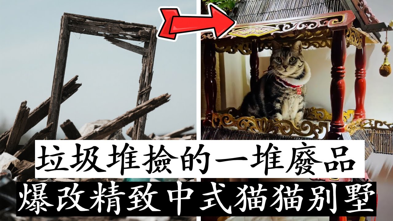 誰能想到這些都是垃圾堆撿的廢棄物？純手工爆改精緻中式貓貓別墅，成品顏值高到不敢認