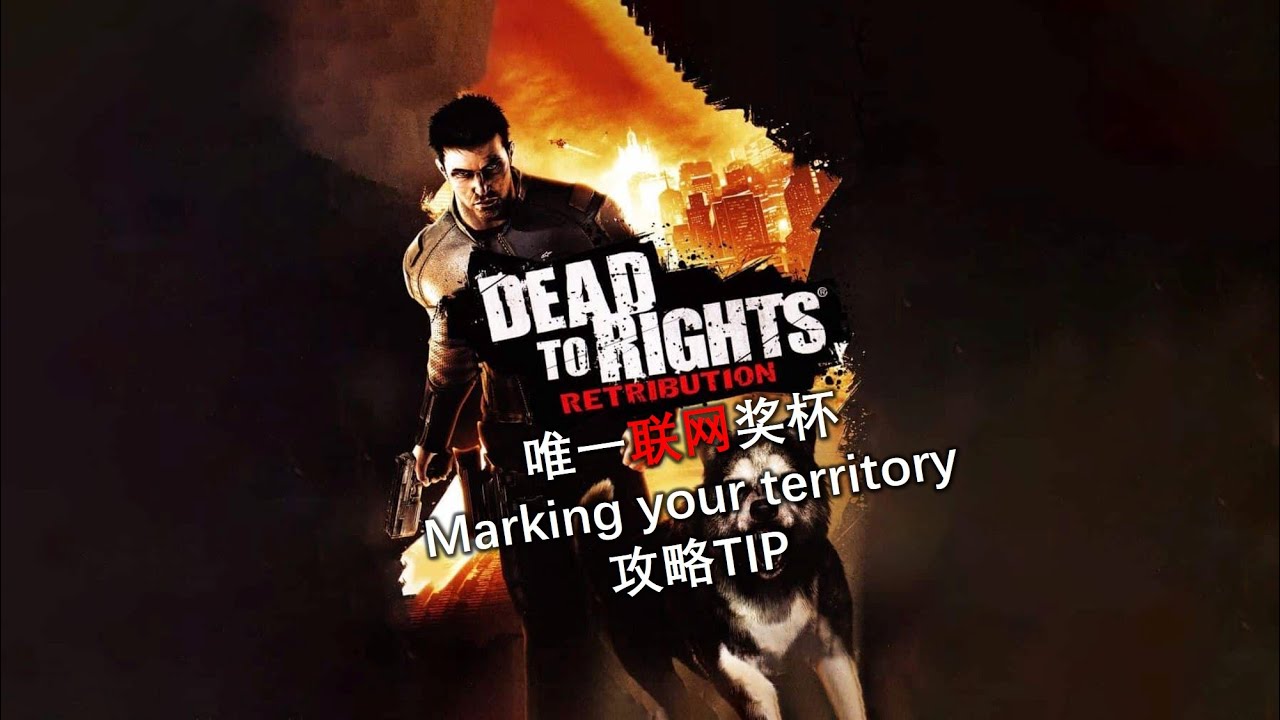 PS3【脱狱潜龙 惩罚】唯一联网奖杯：标记领地 攻略TIP