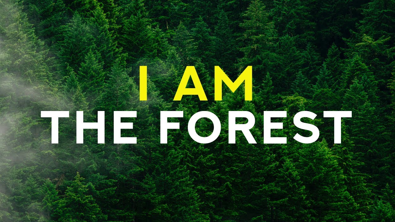 I AM the forest