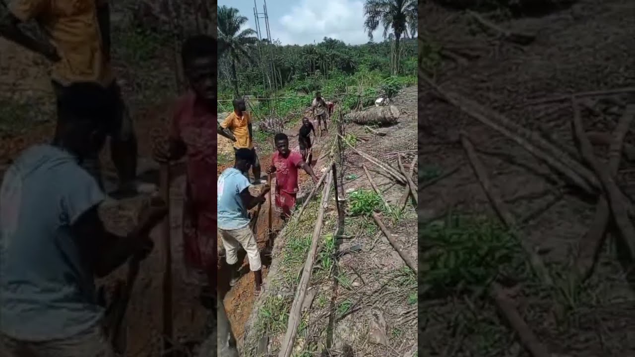 Farming In Liberia-Digging the Foundation of our Chicken, Ducks, Turkey, Goose & Guinea Fowls #1