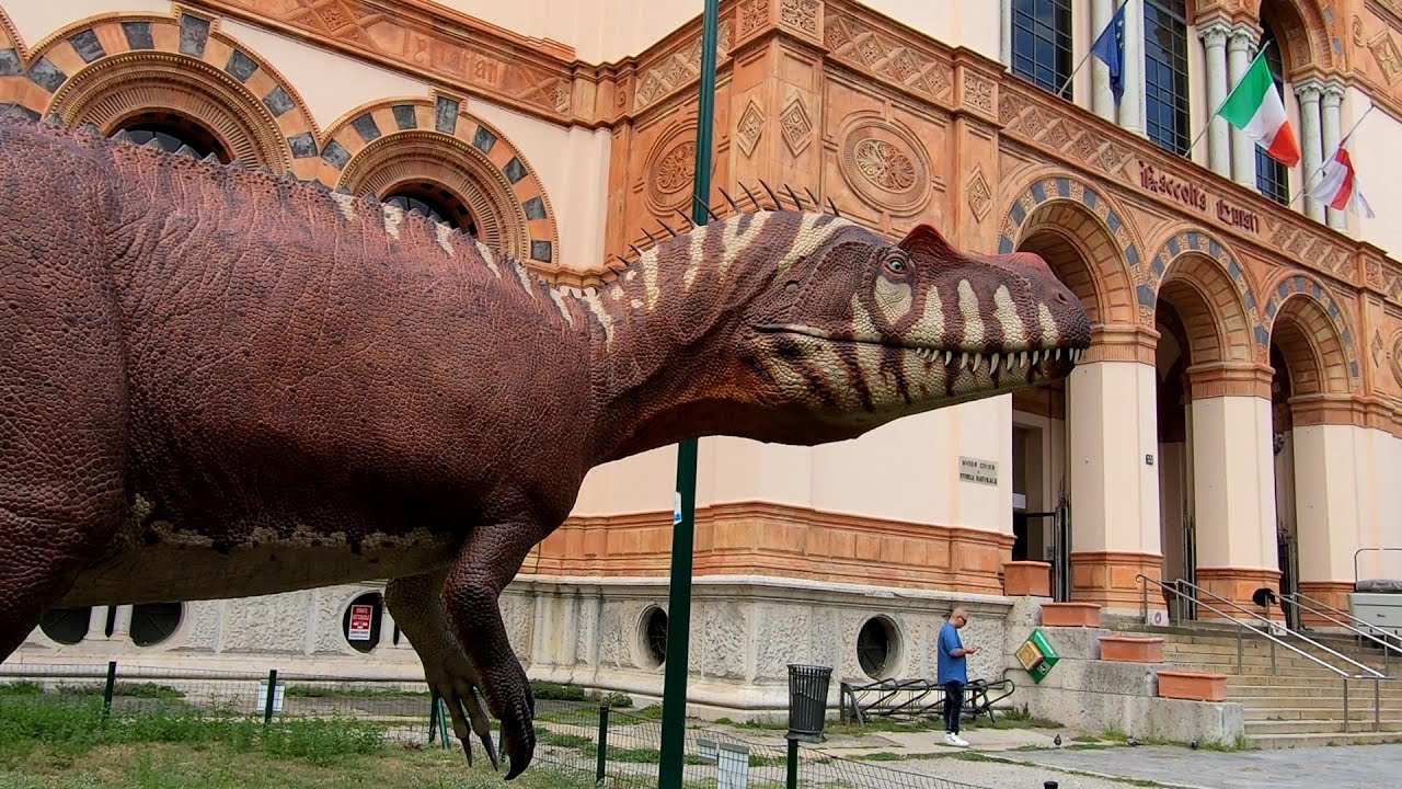 Civic Museum of Natural History of Milan | Museo Civico di Storia Naturale di Milano