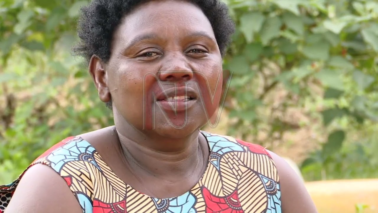 NANYONGA’S MIRACLE CURE: Where Yowanina Nanyonga fed thousands on soil