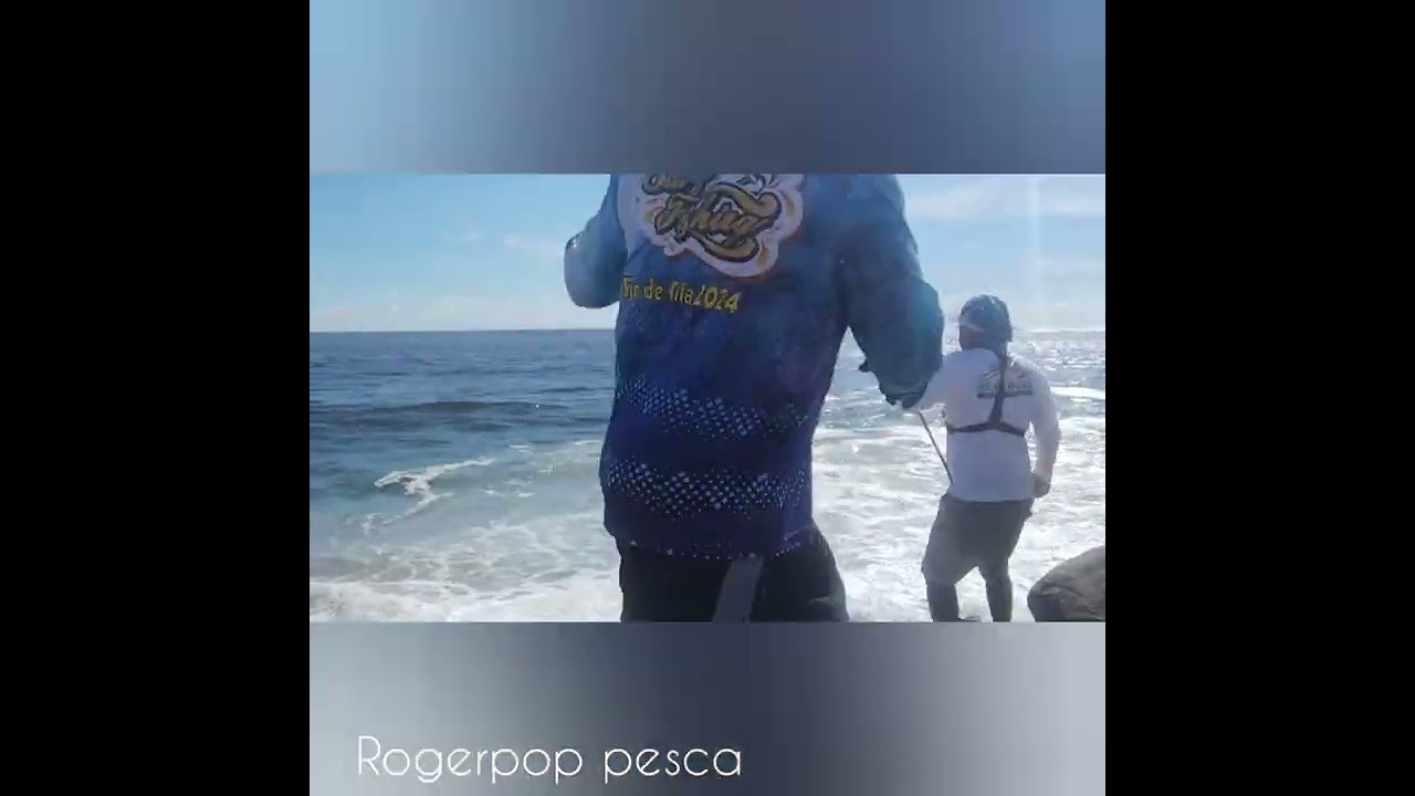 sorprendió este gigante pez gallo pescado desde las rocas.. apoyamos suscriviendote y gracias...