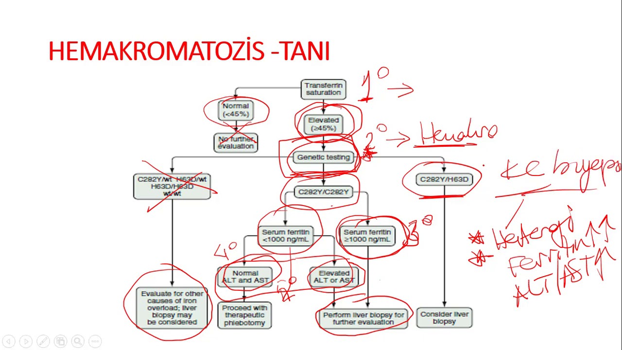 YDUS 2020 İ&Ccedil;İN &Ouml;NERİLER  SORU &Ouml;RNEKLERİ