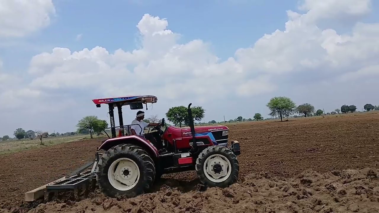 उड़द की खेती कैसे करें, बरसाती उड़द की खेती!#farmworld #novo605 #udad #mansoon