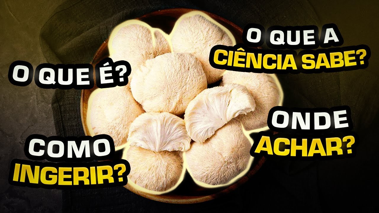 Cogumelo Juba de Leão - GUIA COMPLETO