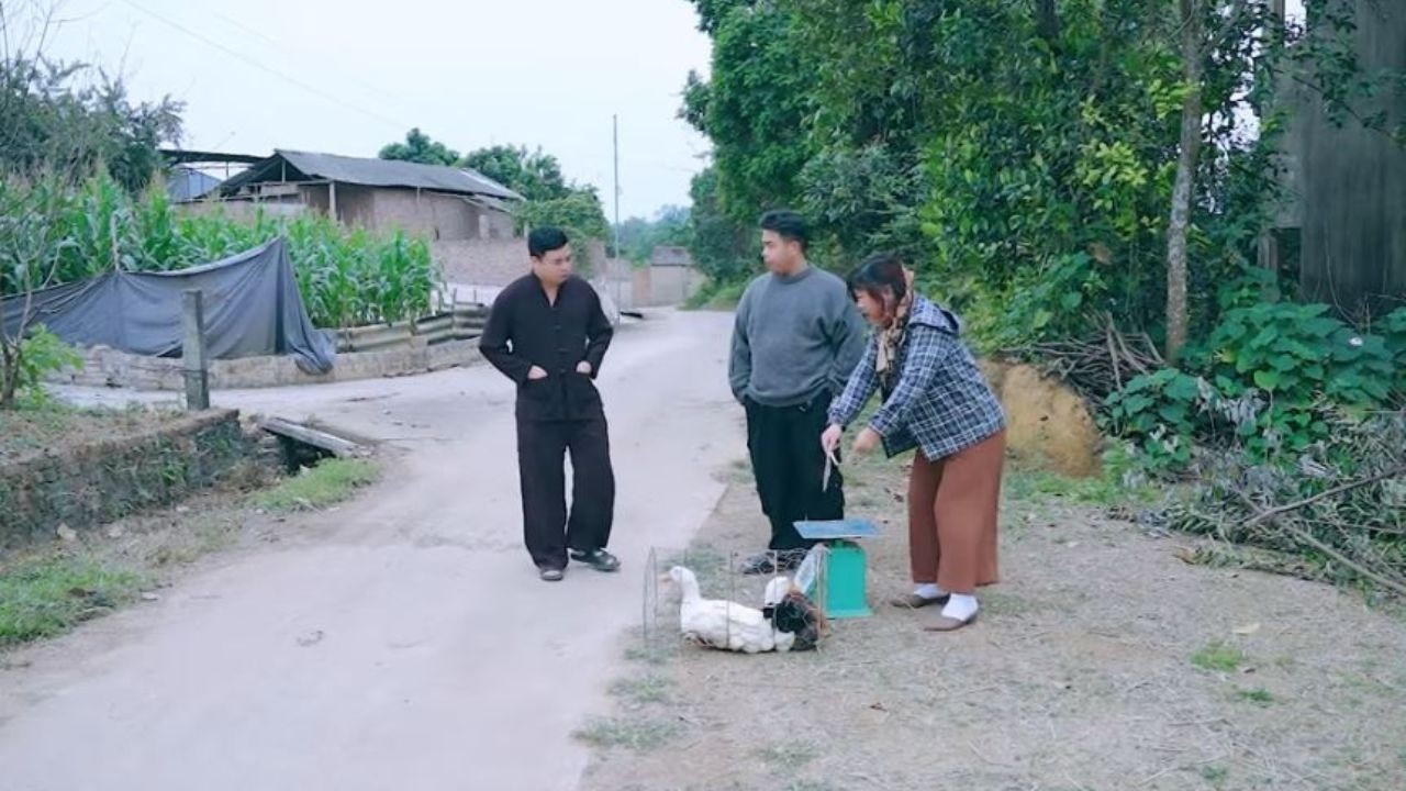 Hài Tiếu Lâm - Phần 456 | Thế này là tạo nghiệp s.át sinh đấy ! | Xem Đi Xem Lại 1000 Lần Vẫn Cười
