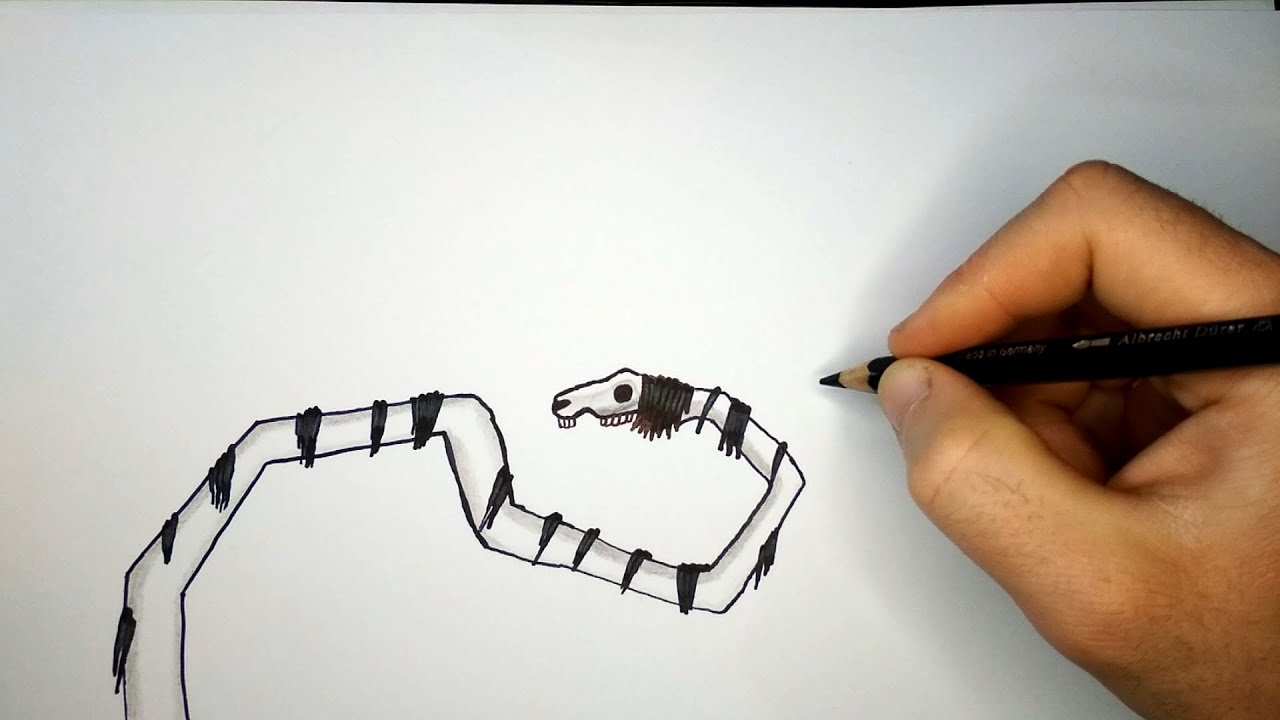 How to draw a Long horse