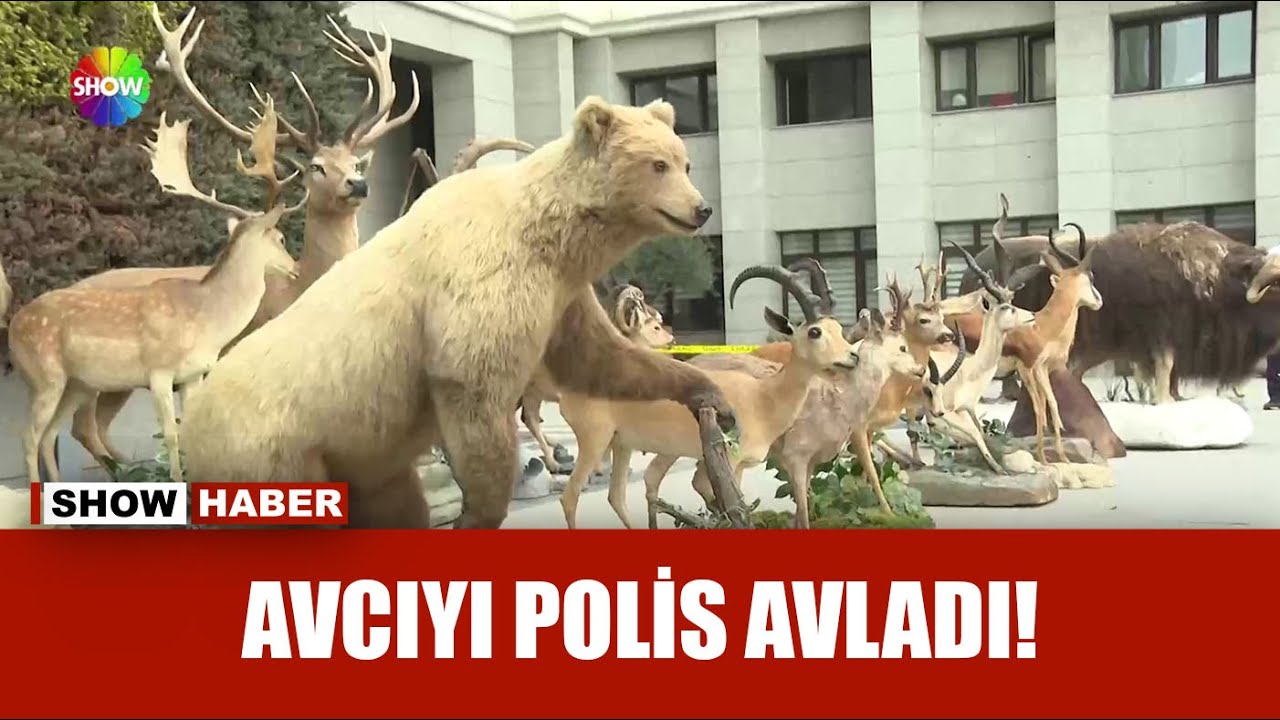 İş insanın şaşkınlık yaratan hayvan müzesi!