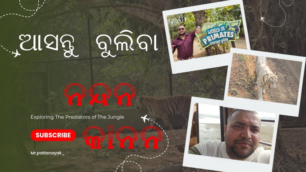Nandankanan Zoo Bhubaneswar 2026: Full Tour, Ticket Prices & Zip Line Adventure!