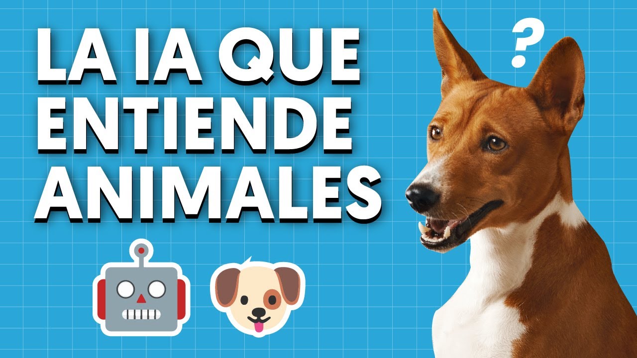 ¿La inteligencia artificial que te hará hablar con animales? 🐶💬