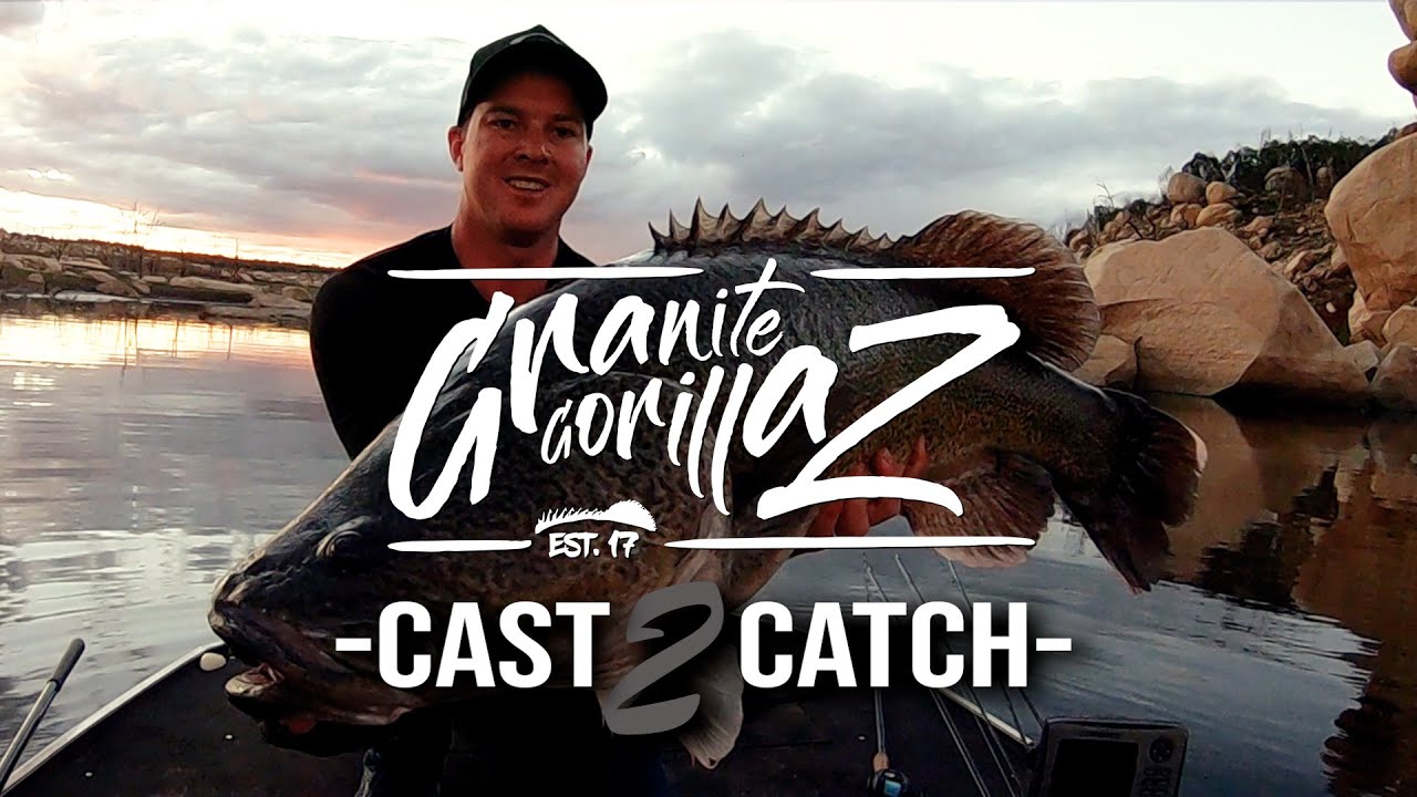100CM MURRAY COD! Hammers Chatterbait amongst the rocks of Copeton Dam. Granite GorillaZ C2C #008