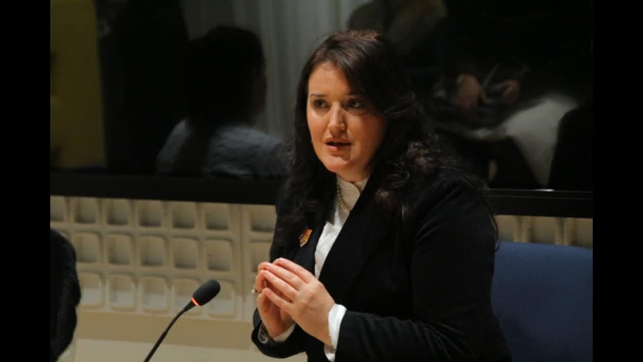 PROMO-FAKTE: Prof. Dr. Besa KADRIU, shqiptarët dhe Maqedonia e Veriut