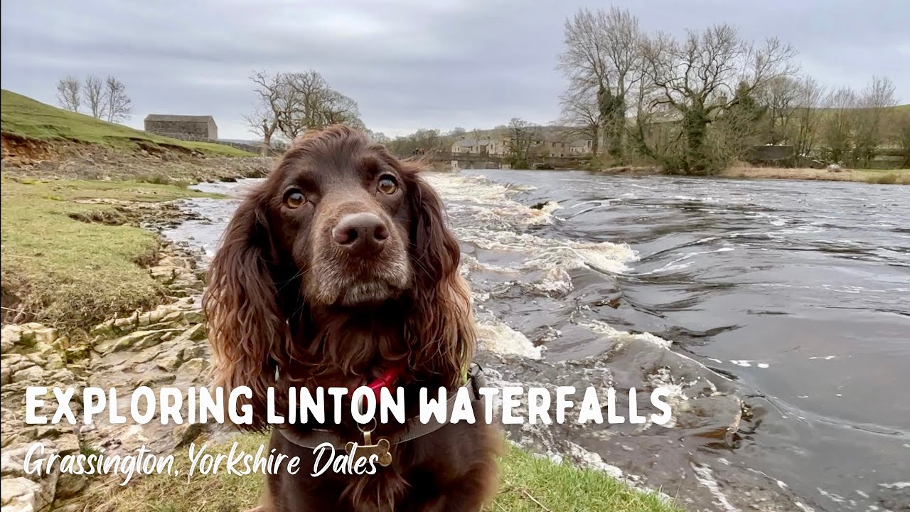 Walk with Me: Linton Falls | Grassington | English Countryside | Yorkshire Dales | Waterfalls
